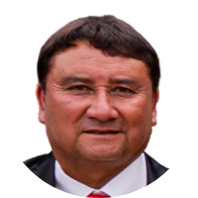 Ricardo del Tránsito Castillo Castillo